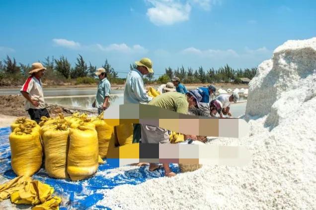 全国哪的食用盐最优质？经过筛选，这4种盐脱颖而出，有你家乡吗