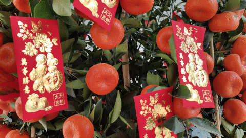 “冒险”投入值不值？OPPO Find X5 Pro首发评测，视频能力是重头戏