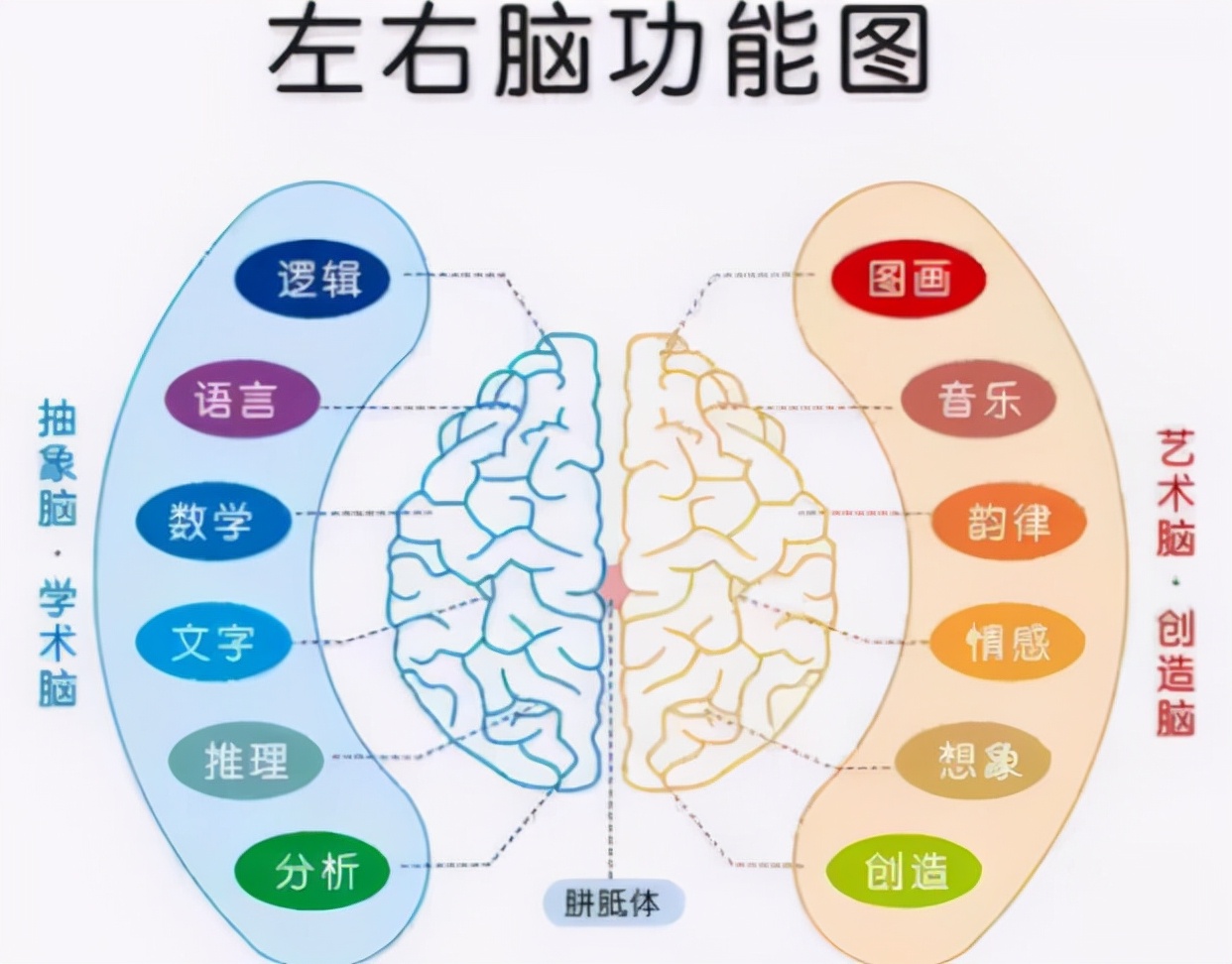 婴儿智商高的10大特征（心理学家新发现）