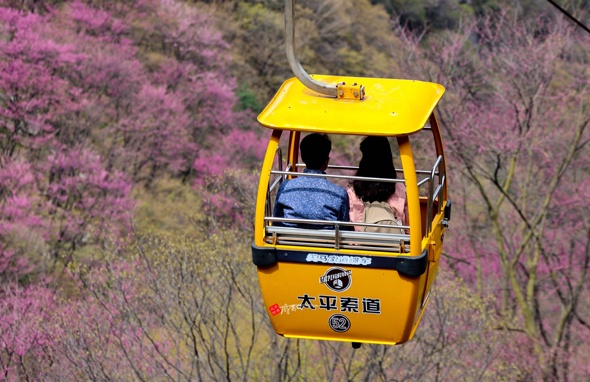 太平国家森林公园（推荐旅游景点人间最美四月天）