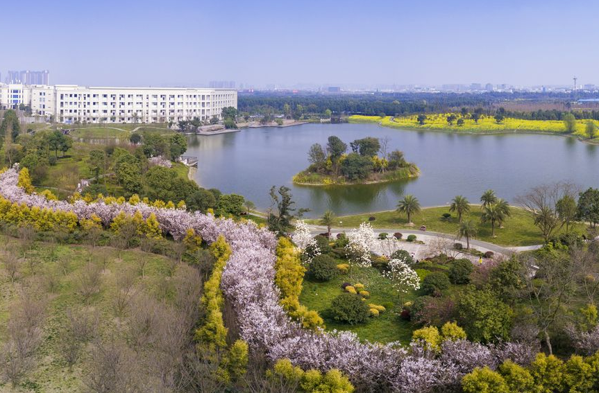 西南地区四大名校，考生都想报考，但你知道各自的王牌专业吗？