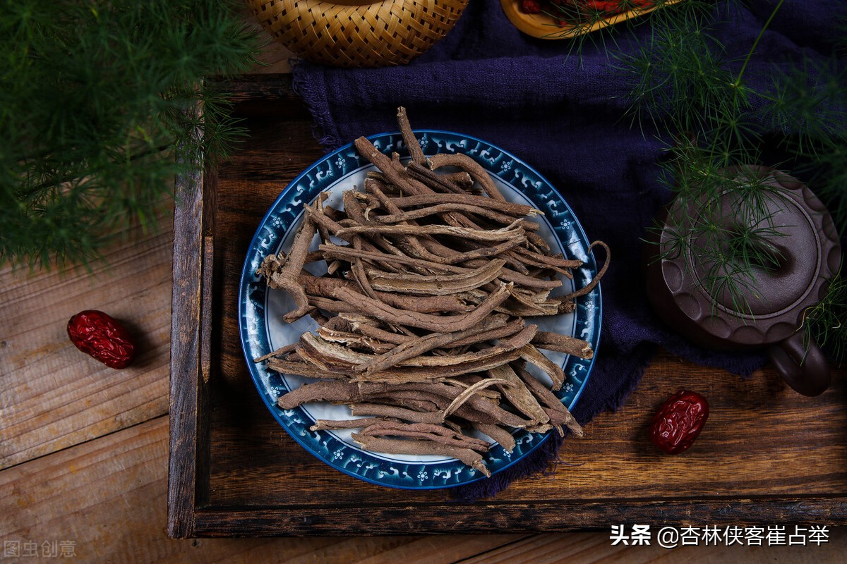 简单的一味——刺五加,仅仅一味药,补脾,补肺,补肾,补心