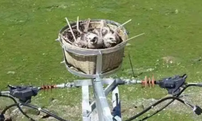 如何看鐵塔識別電力線-架空電力線科普