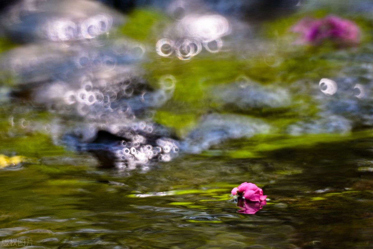 世间自有轮回，凡事都有因果。有一种遇见，不在路上，而在心上