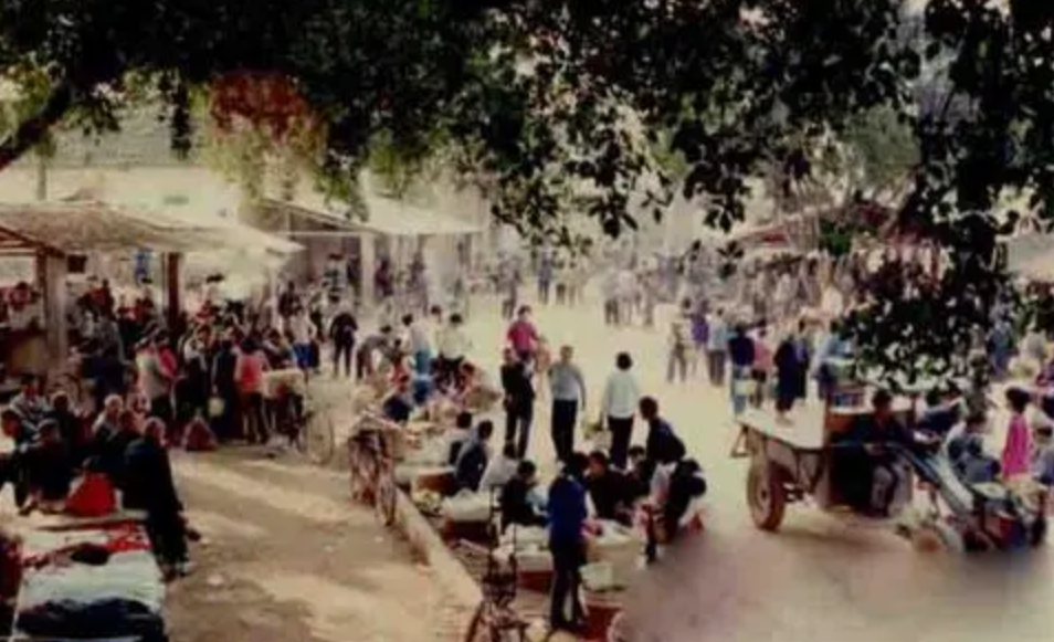 1976年，一名河南男子被冒名顶替上大学，37年后欲索赔115万