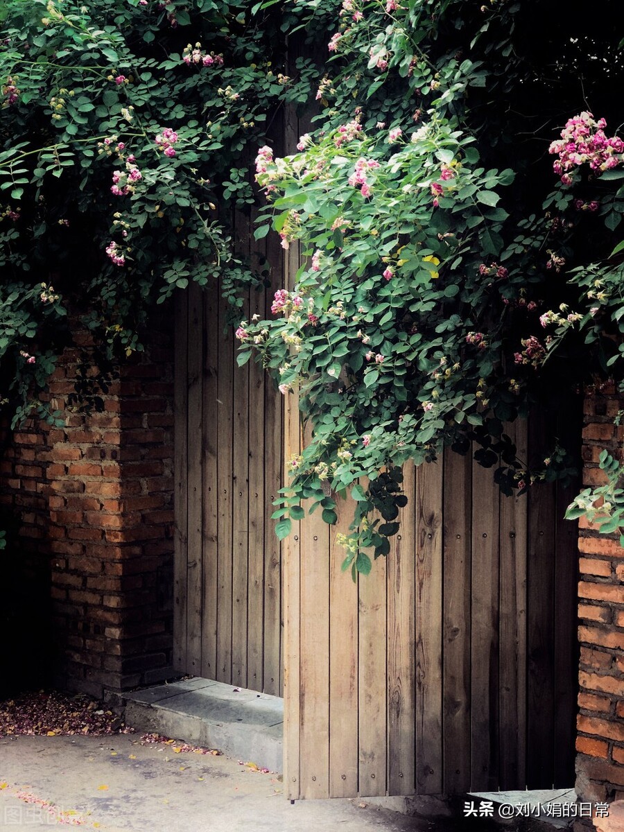 庭院深深，深情几许，醉了浮生，乱了流年，缱绻余生