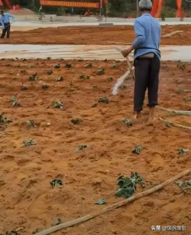 耕地“复耕”，乱象频出？不能忽视这三个方面