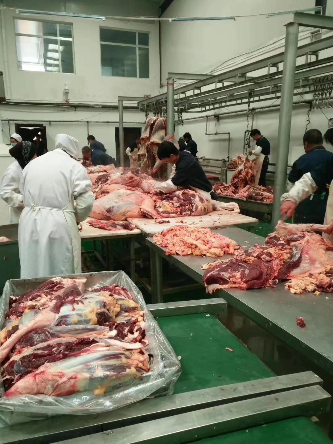 青海祁连亿达畜产肉食品有限公司简介