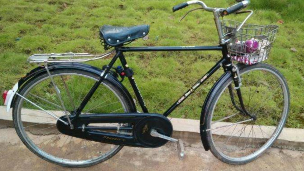 山地車品牌,山地車品牌排行榜前十名