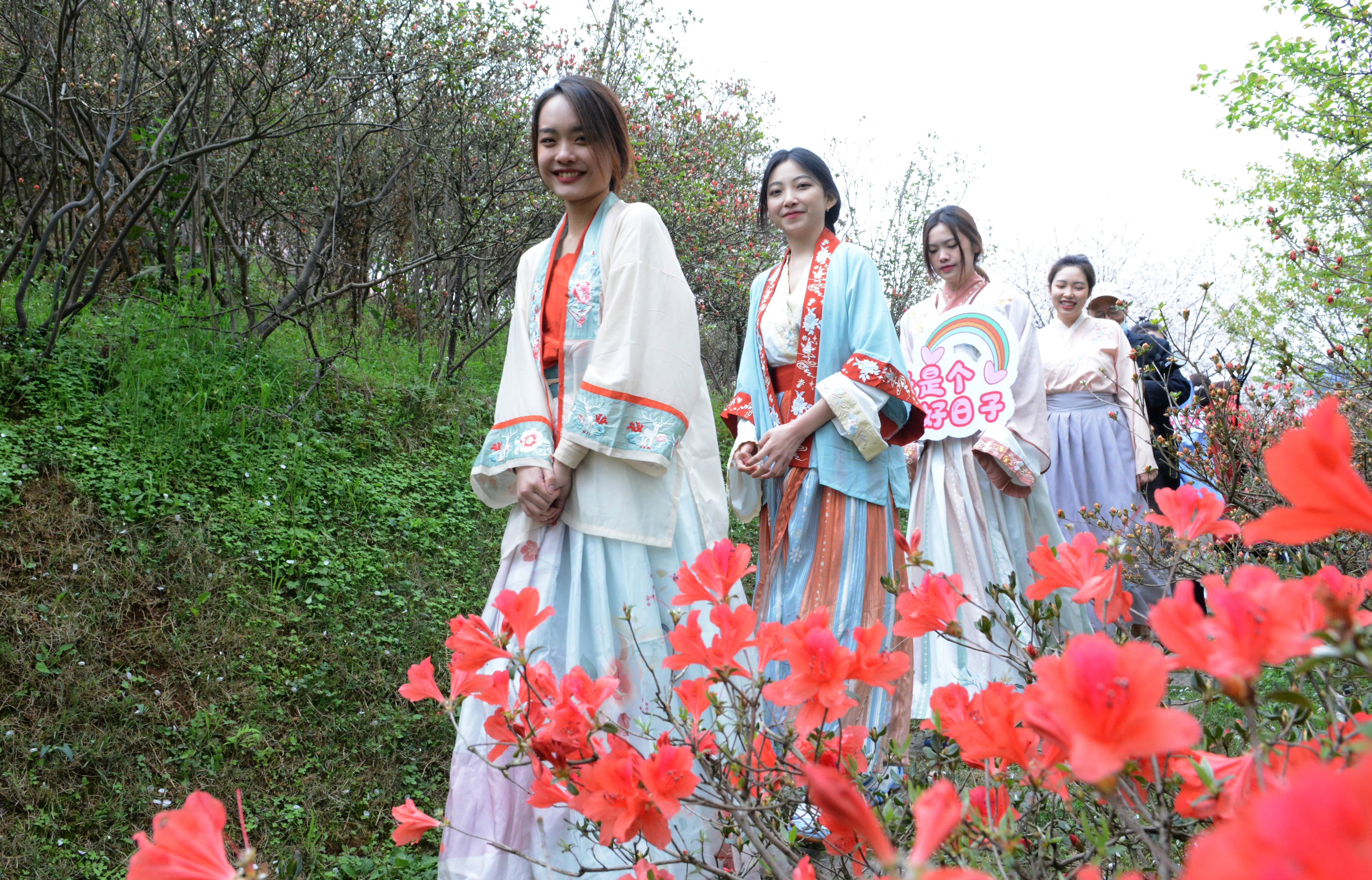 “樱花灿漫是此时”：长沙岳麓区晚安家居文化园启动樱花节