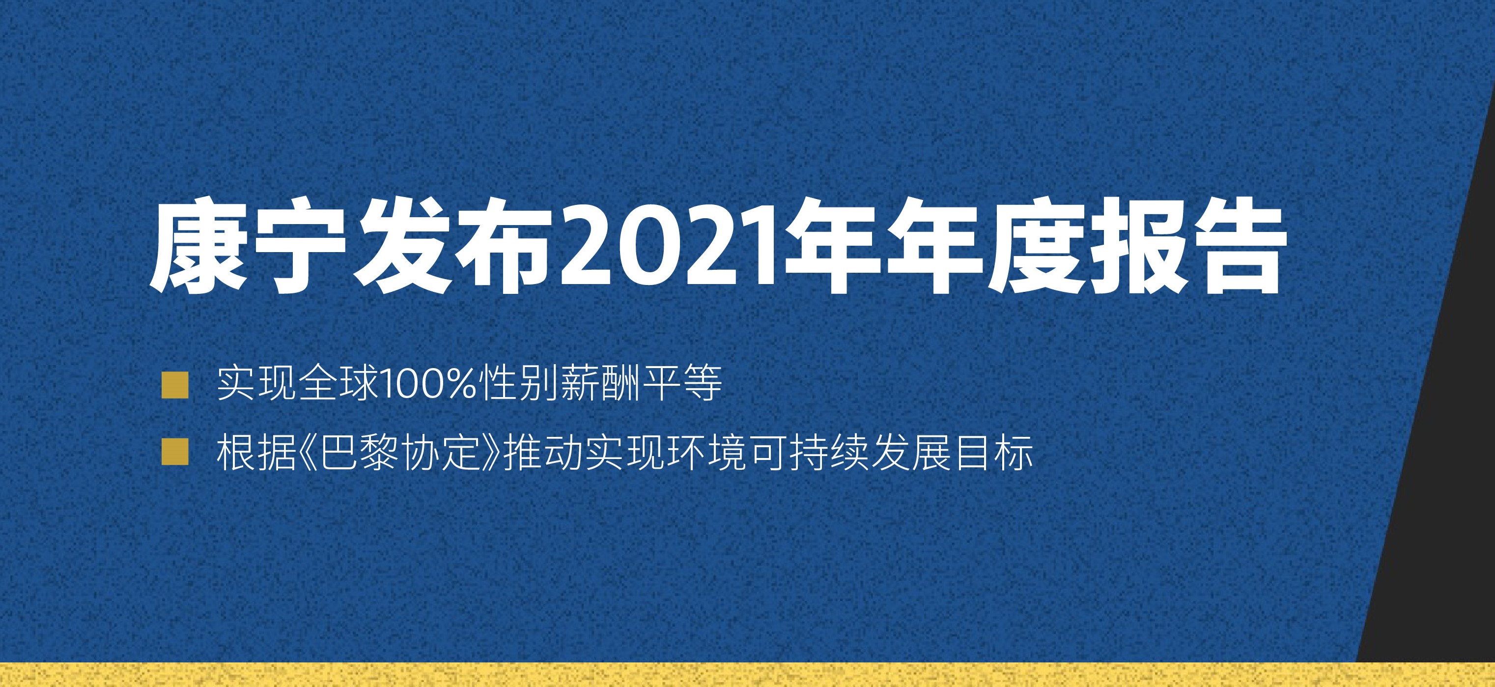 康宁：2021年报，公司在可持续发展和包容性举措方面取得的进展