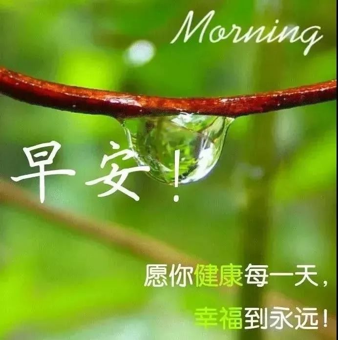 2022早晨好漂亮祝福语录图片 朋友圈精选唯美带字的早上好问候图片
