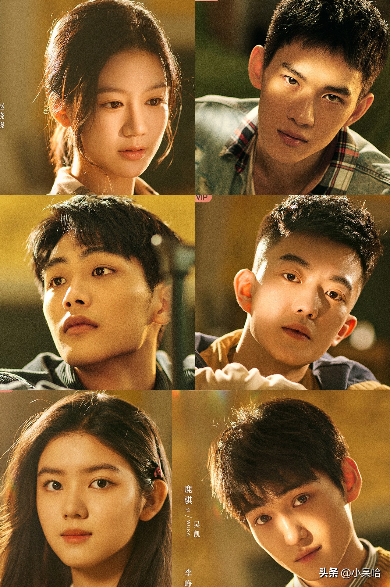 郭京飞、王源、任敏主演，配角阵容强大，校园剧又要火了？