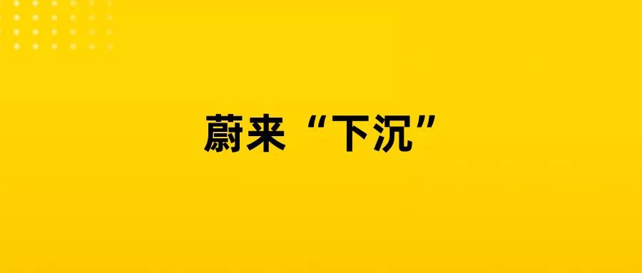 蔚来+拼多多＞特斯拉？