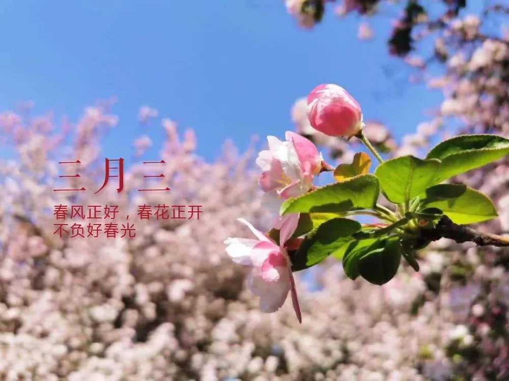 又是一年三月三!