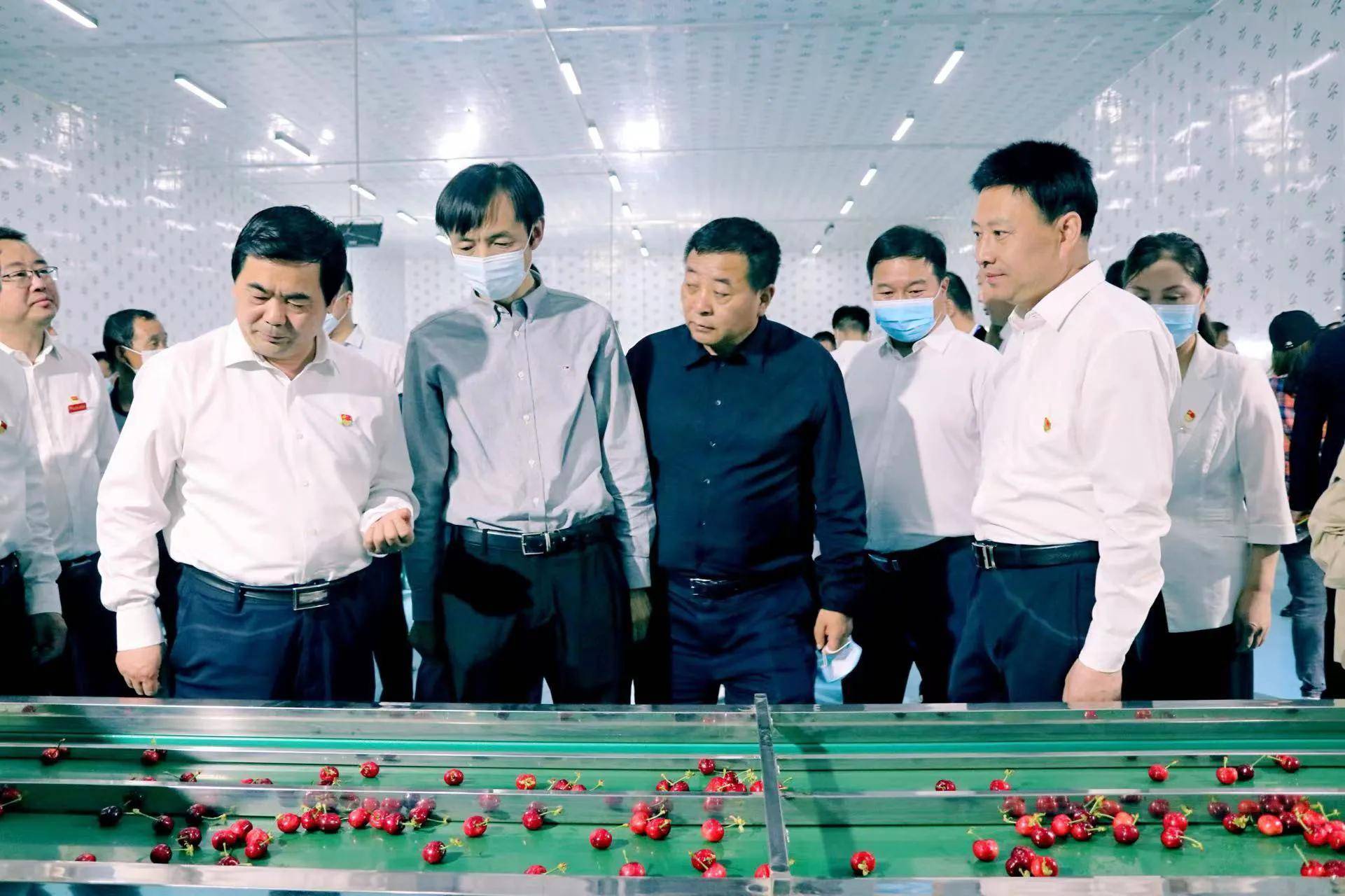 第三屆中國·澄城櫻桃云營銷季暨陜西水果網(wǎng)絡特色季·櫻桃季開幕