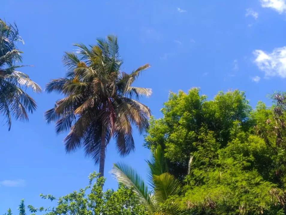 景區(qū)發(fā)展誤區(qū)和轉型升級路徑