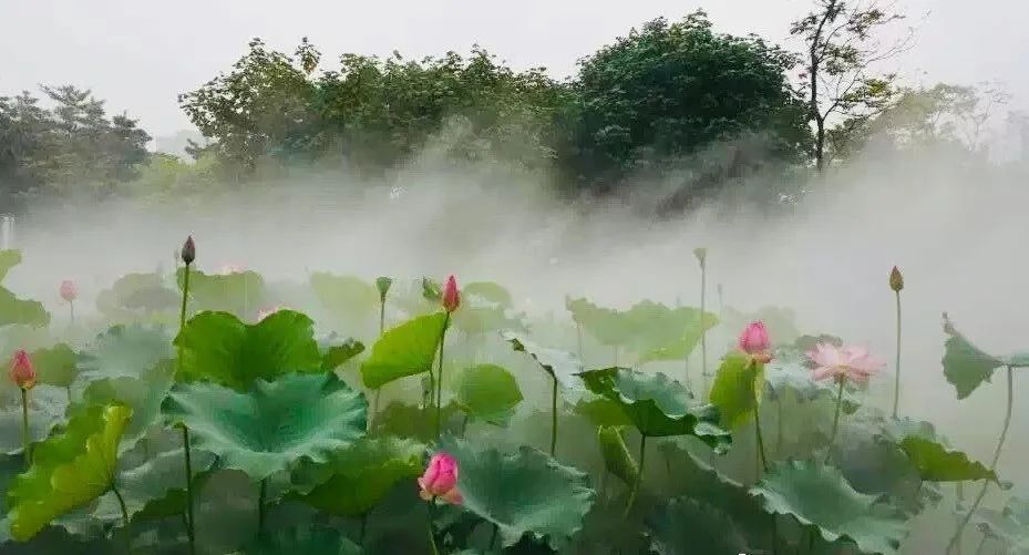 诗词丨五颜六色皆美景，万紫千红总是诗