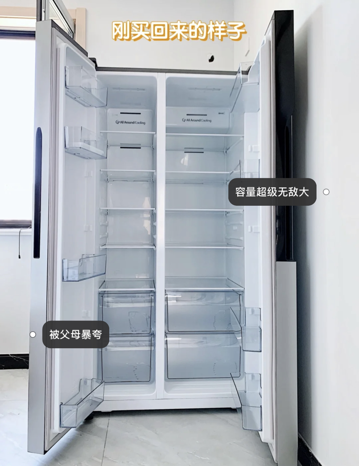 双对开门冰箱和十字对开门冰箱，哪个更好用？用了一年多谈谈感受