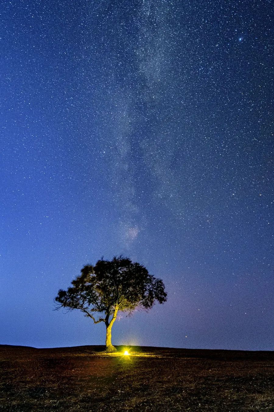 没有最伟大的作品，只有最美好的夏天