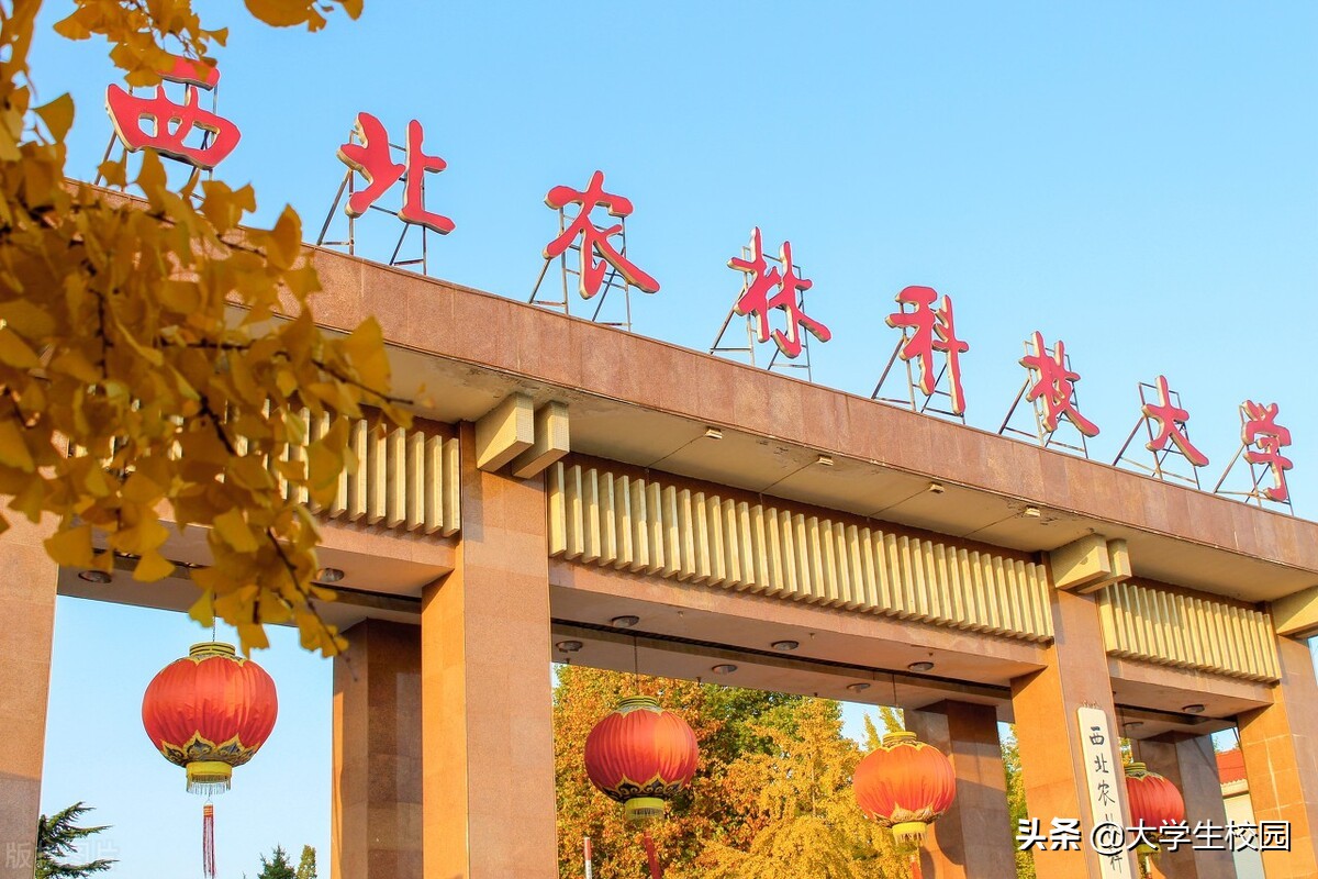 2022陕西省大学排名，你了解几所？