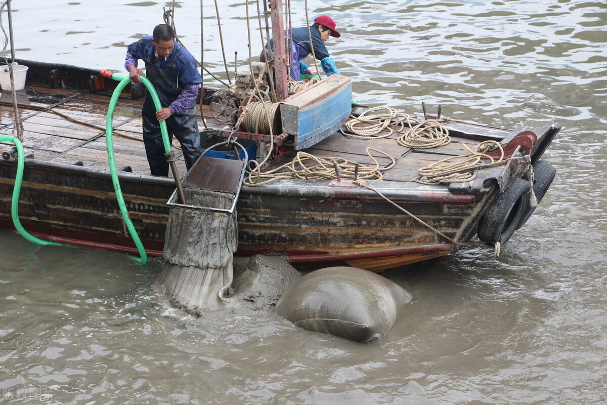 红虫明明是摇蚊的幼虫,为何多地禁止捕捞,钓鱼人还用不用?
