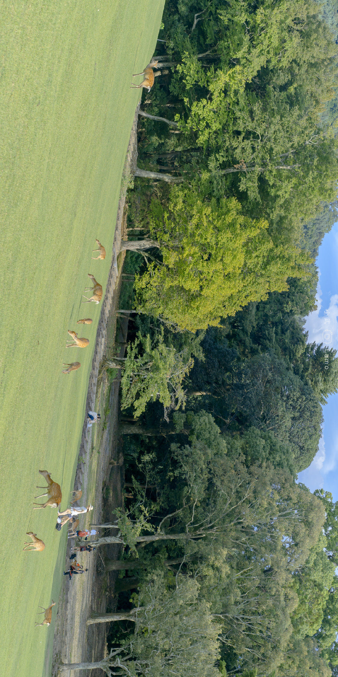 022睡前发朋友圈的晚安语录文案，对得起初心，守得住永心"