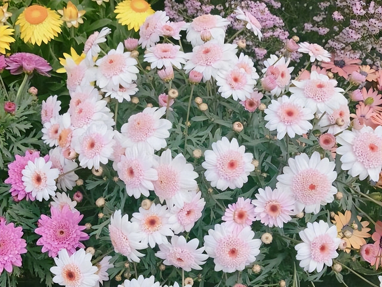 跟巨蟹座谈恋爱，需要掌握的几点相处法则？用温柔，对抗情绪化