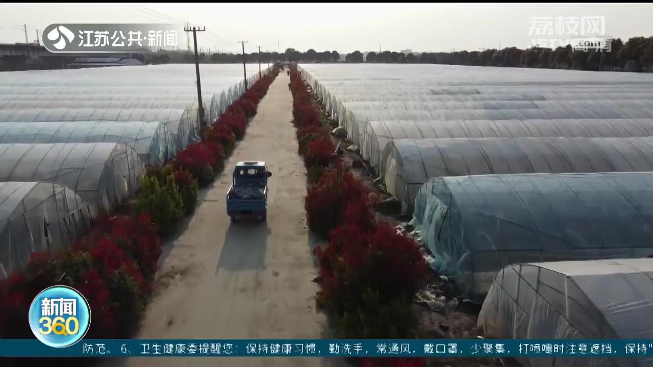 守护市民&ldquo;菜篮子&rdquo;：江苏各地抓好蔬菜生产保供应