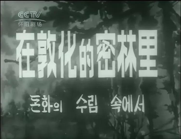 世界电影（0109）朝鲜电影《在敦化的密林里》（1962）剧照欣赏
