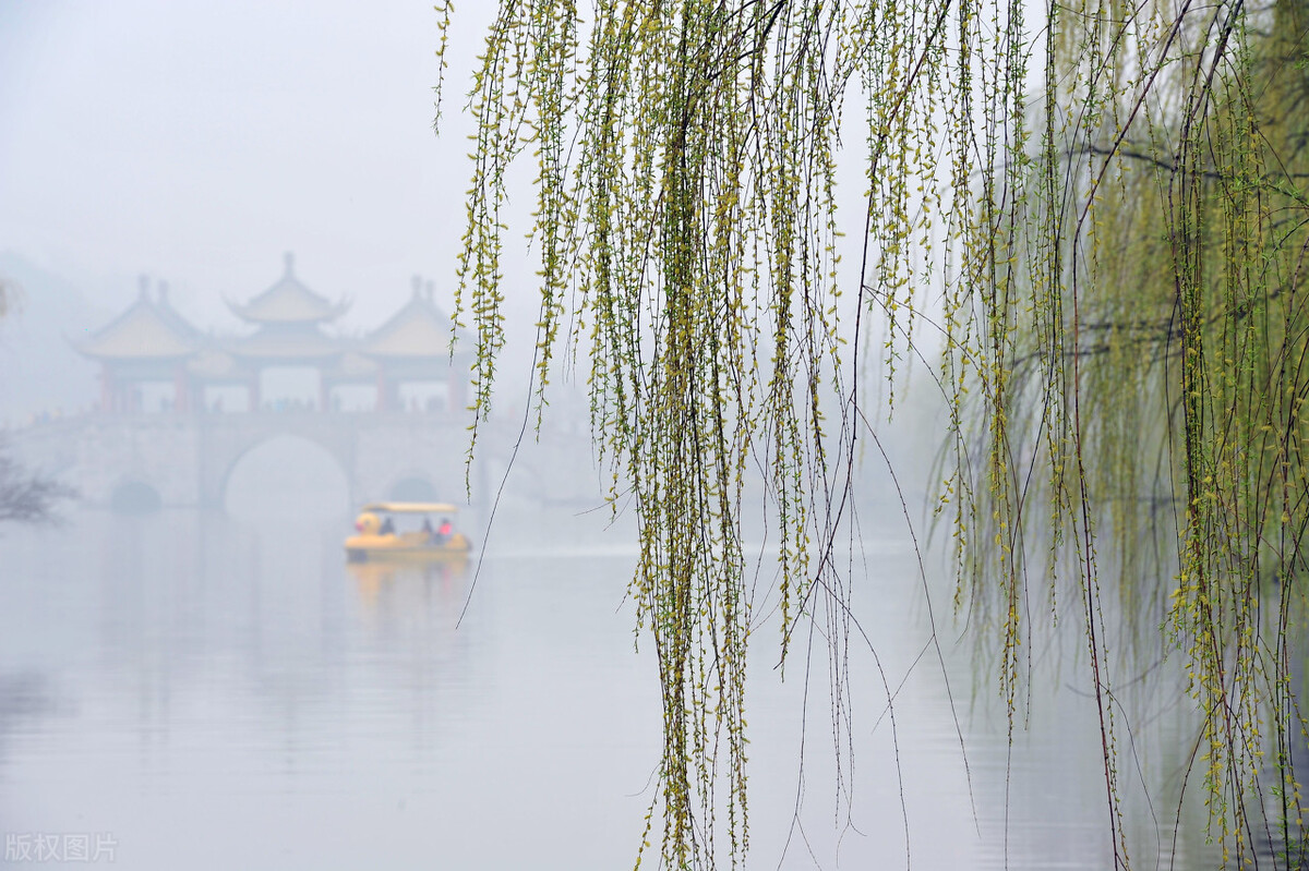 每日一词《西江月 夜行黄沙道中》赏析