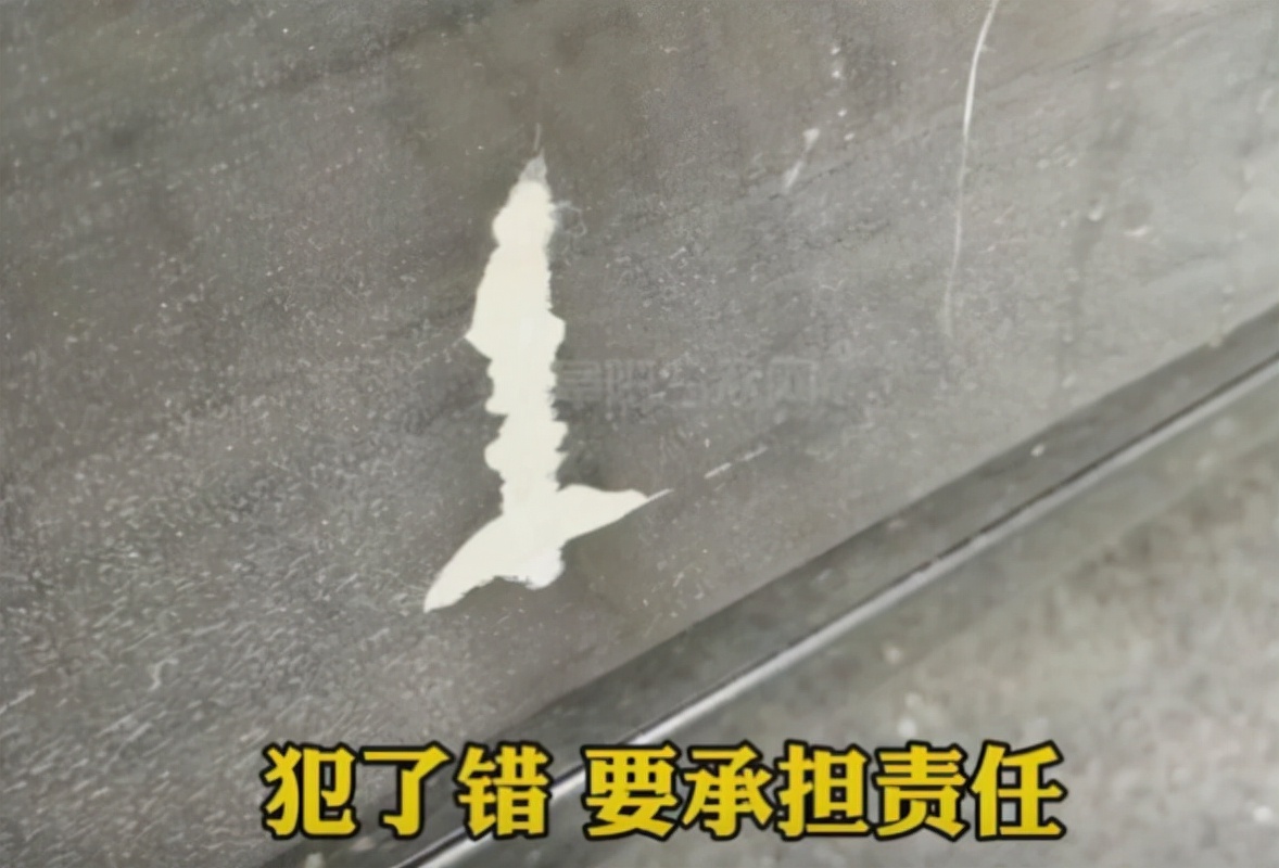 女大学生骑单车剐蹭宝马车，事后留字条致歉，车主感动不追究赔偿