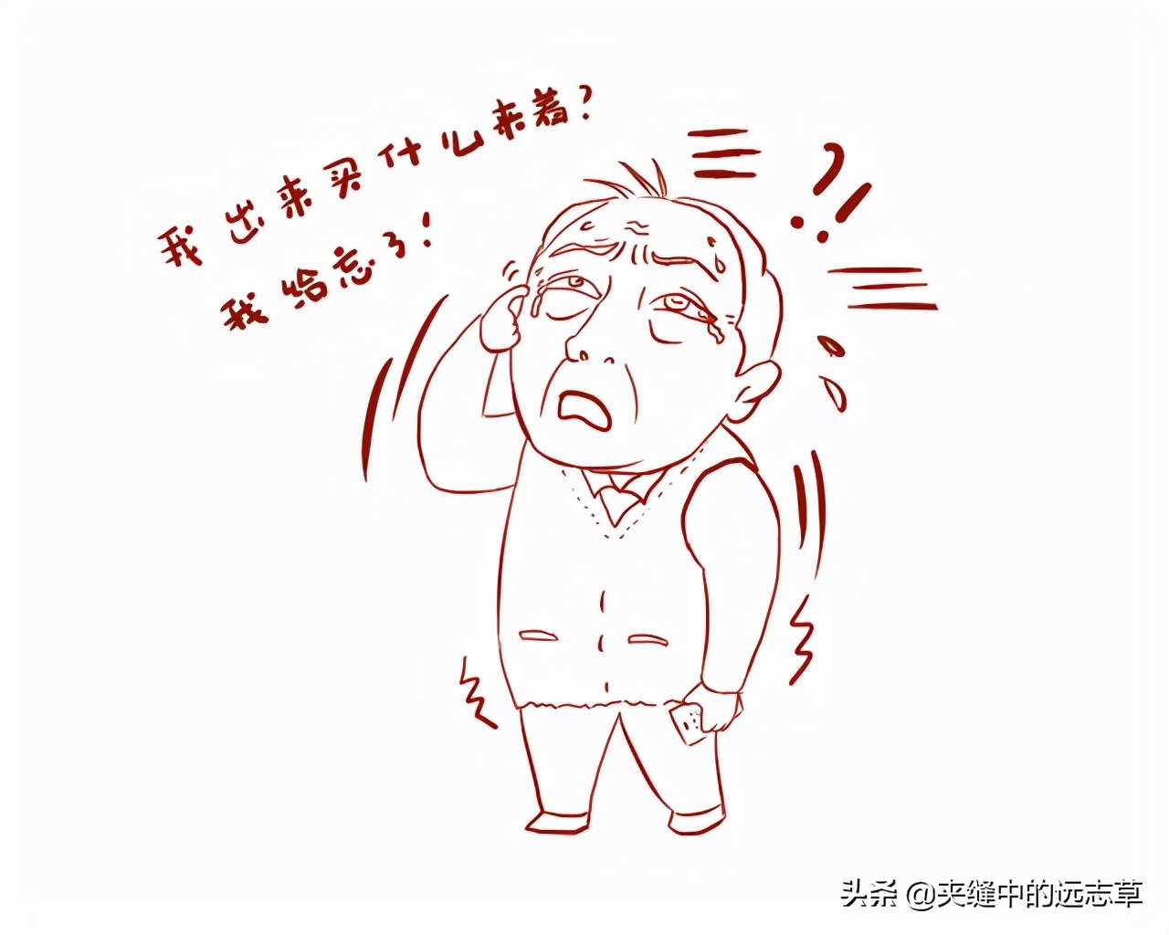 上了岁数健忘，记性差？送你一剂生慧汤，养心补肾，上下相资