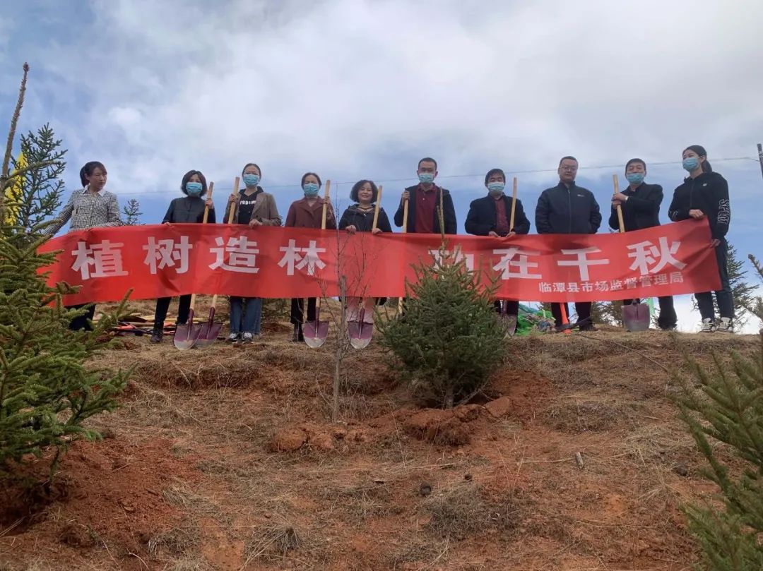 临潭县各乡镇各部门拉开春季义务植树序幕