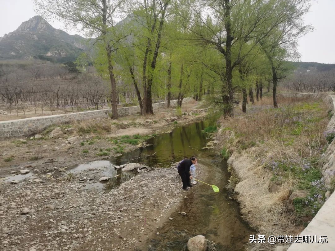 昌平旅游景点（昌平免费景区的环山步道游览推荐）