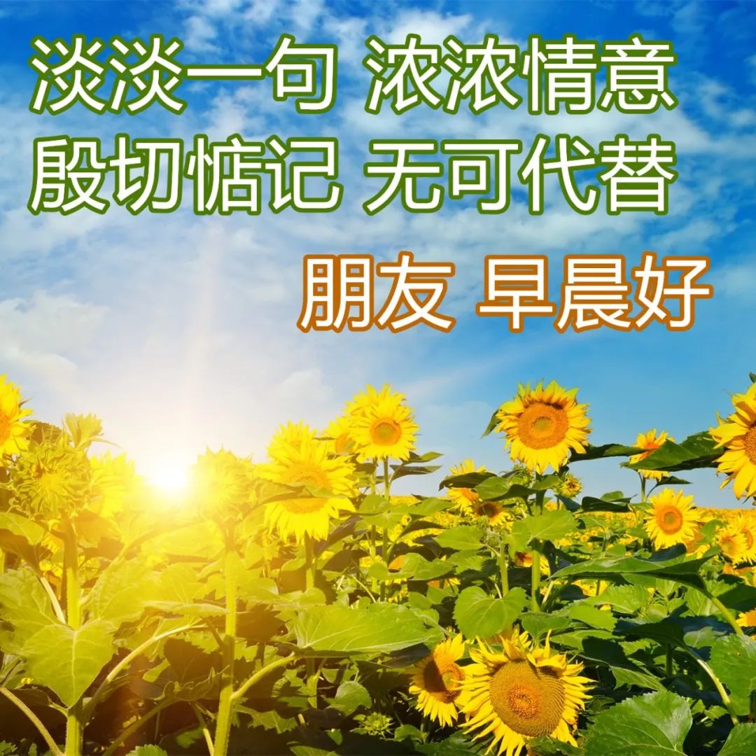 2022.03.27早安心语，早上好温馨正能量语录，周末快乐