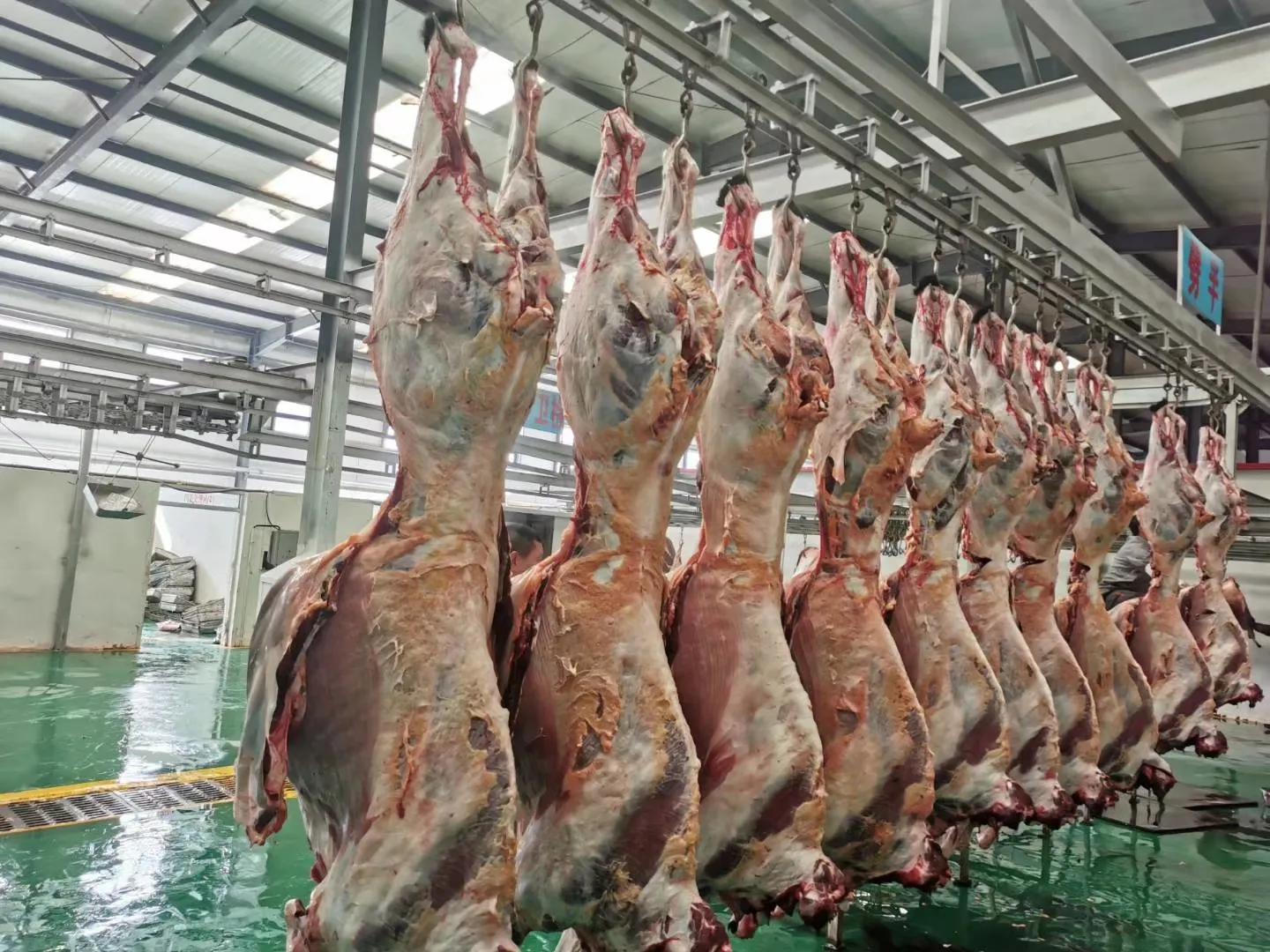 青海祁连亿达畜产肉食品有限公司简介