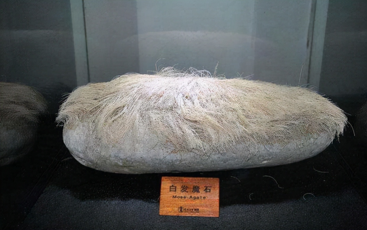 1987年，辽宁男子花1.8万买下一块长满白发的石头，半年后长了2cm