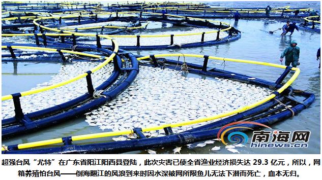 用二氧化碳代替饲料海上养鱼万亿市场 加快实现碳中和与碳封存