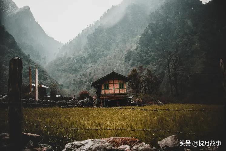 句子库‖你的过去我来不及参与，你的未来我奉陪到底