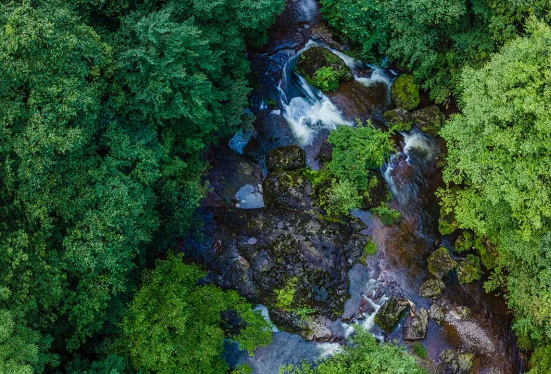 四川有个国家公园，它被誉为“天然氧吧”