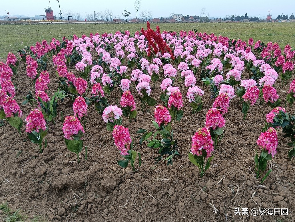 过年想好去哪玩了没，湖北周边春节必去景点