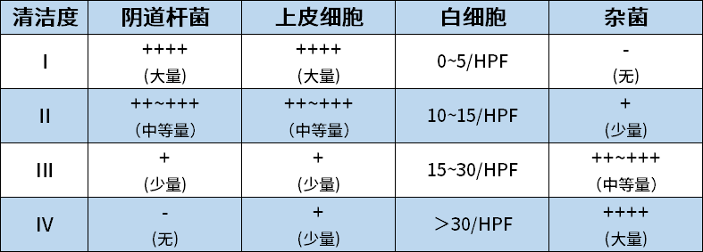 为什么有炎症，医生却说正常？白带常规到底要怎么看？