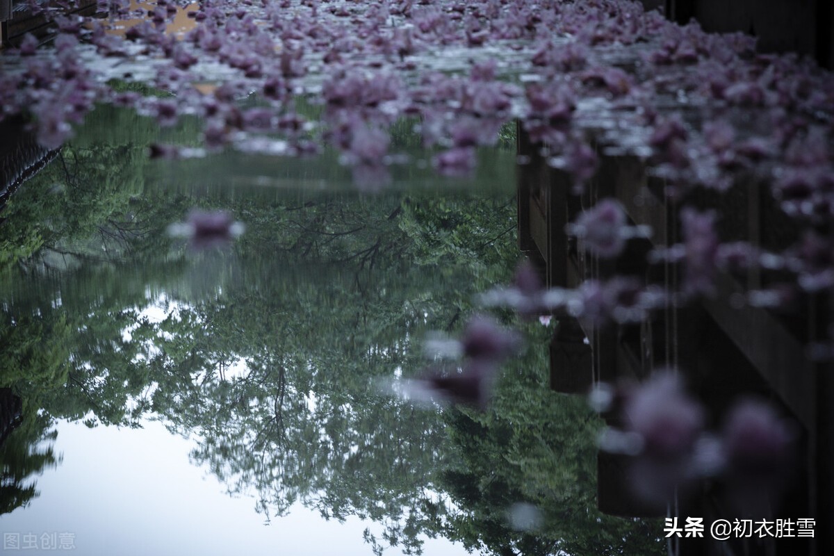 落花美诗五首赏读：桃花自落非关雨，梅子半黄知是春