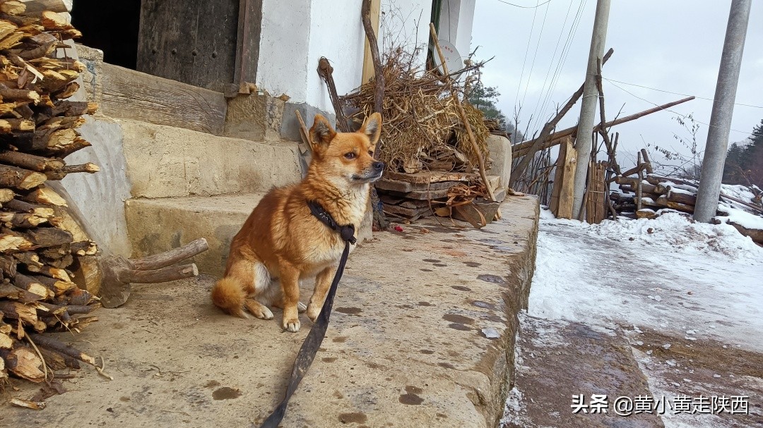 每小时都有班车经过的山谷，风景幽静迷人，探秘秦岭其实很简单