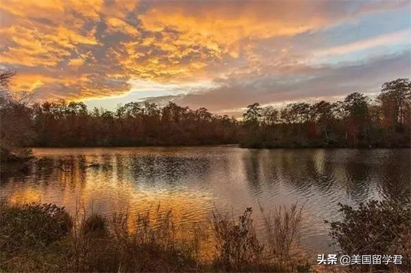 论本科教育，没有人敢和WM比！与哈佛同期建校的老牌名校