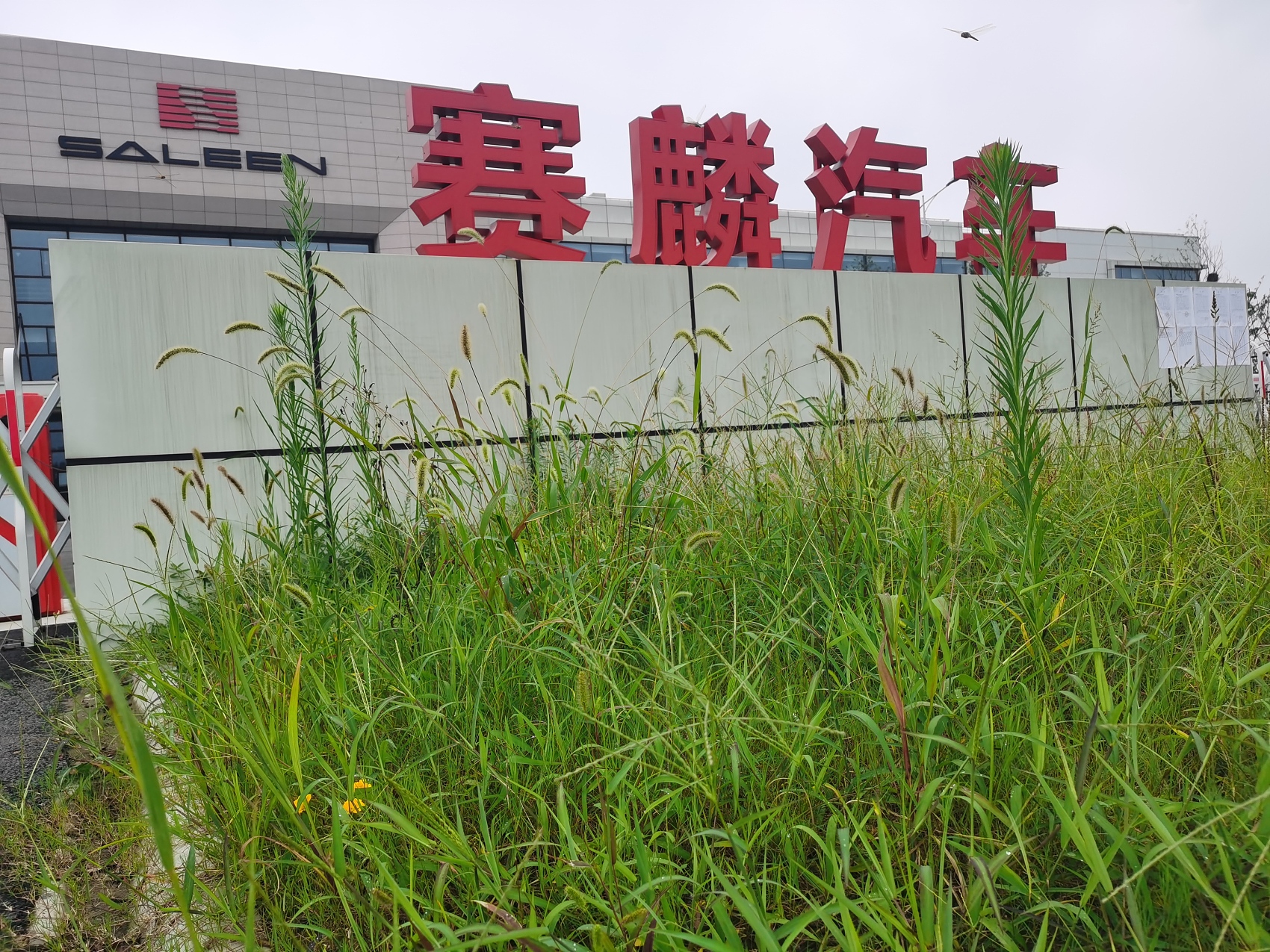 烧57亿造“老头乐”，反思赛麟汽车的大败局