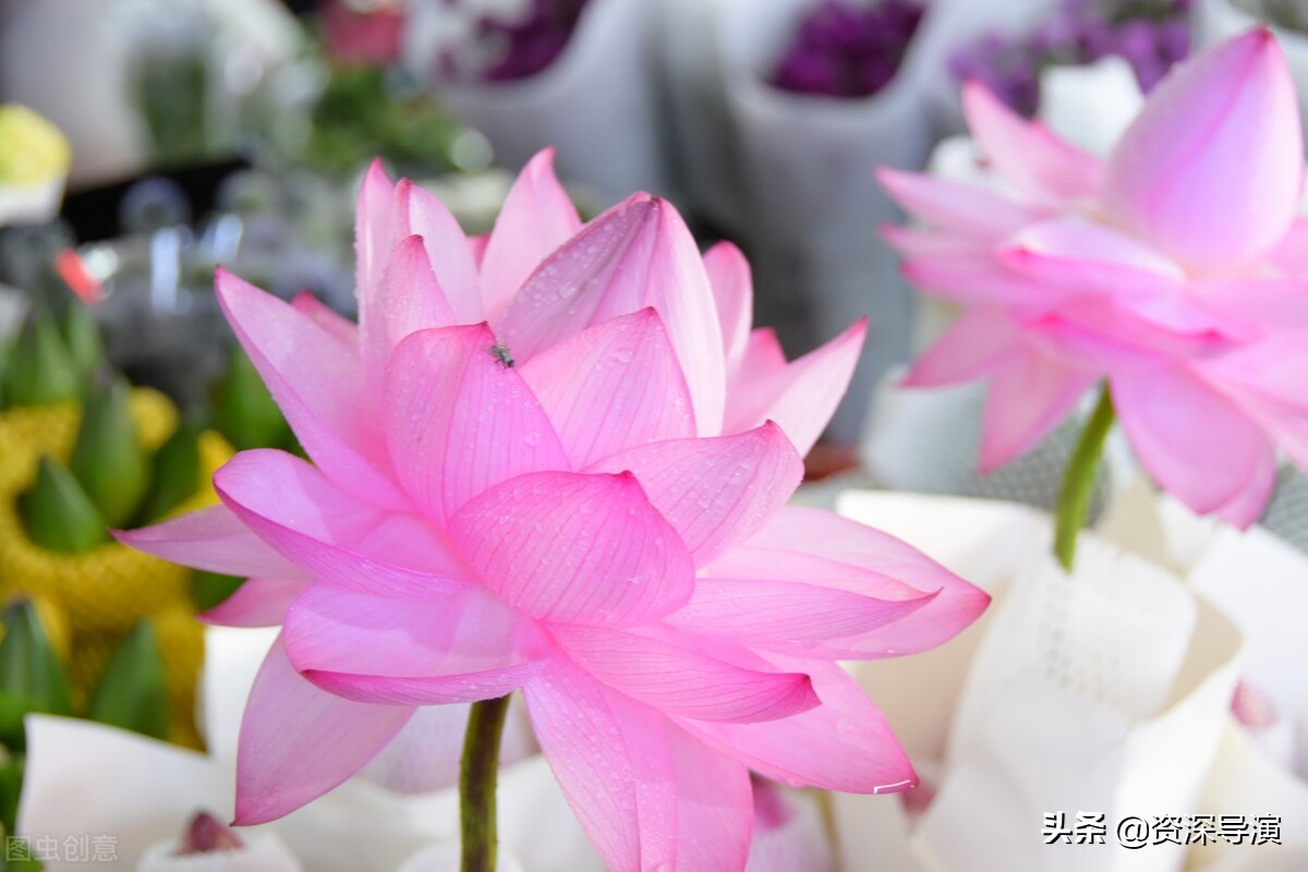 如何成为一名影视导演