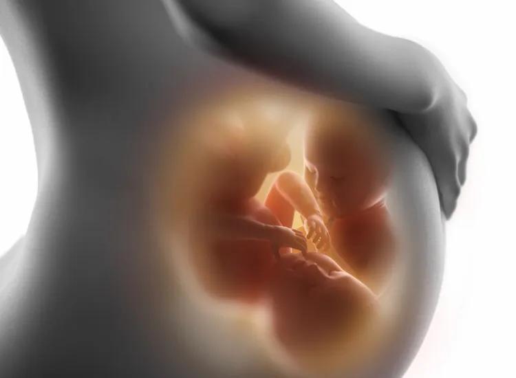 胎宝宝第几周开始胎动才是标准的？