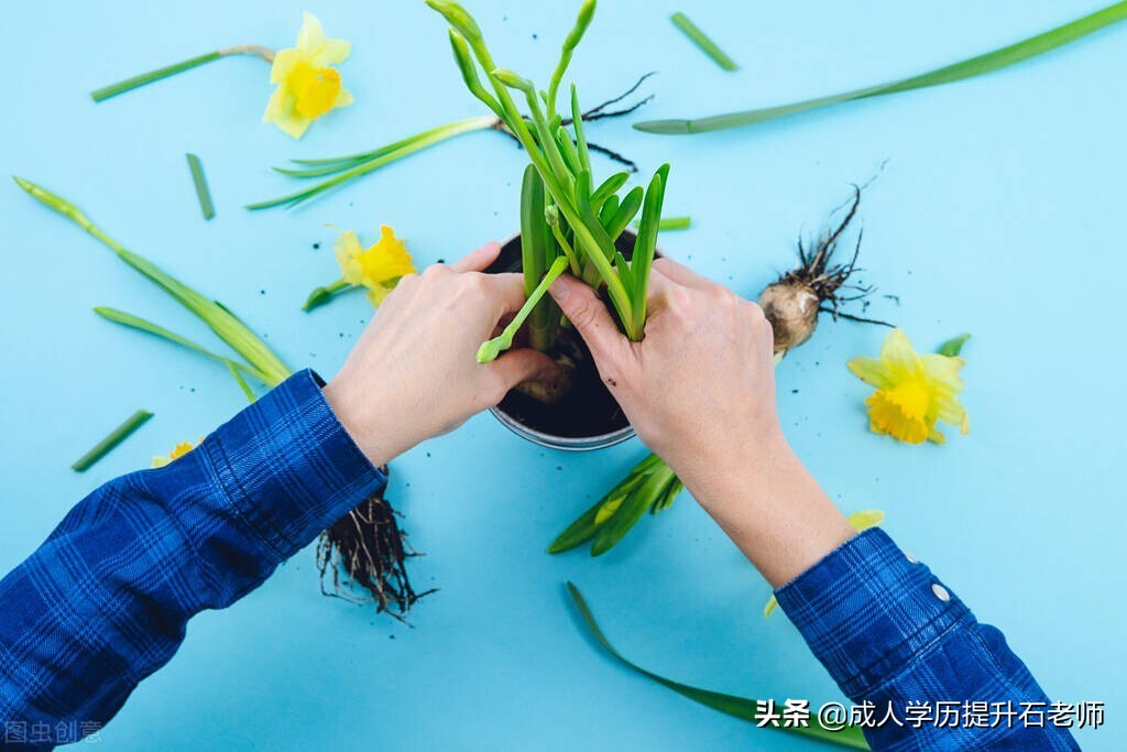 华中农业大学成人高考、函授报名专升本、园艺专业招生介绍